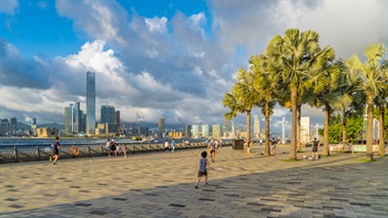 海傍的大树下有充足的空间供小孩奔跑和玩耍。